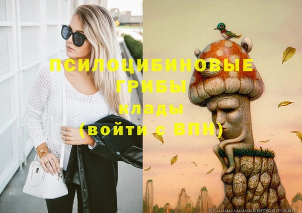 бутират Белокуриха