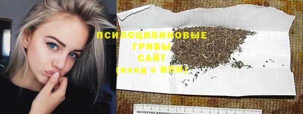 бутират Белокуриха