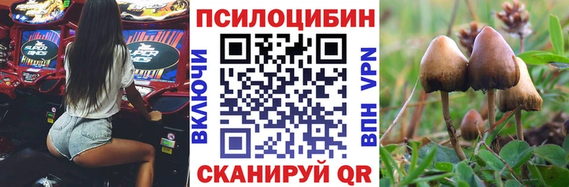 даркнет официальный сайт  Межгорье  Псилоцибиновые грибы Cubensis 